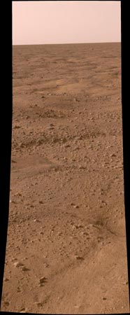 One of the first color images from the Phoenix Mars Lander shows the surface of Mars after the Phoenix Mars Lander spacecraft landed successfully in the first-ever touchdown near Mars' north pole May 25, 2008.