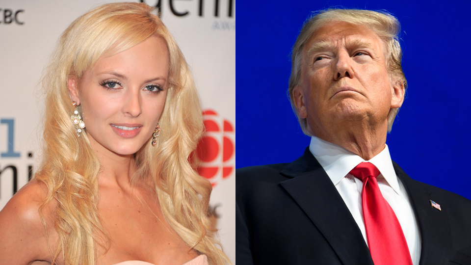 shera bechard donald trump